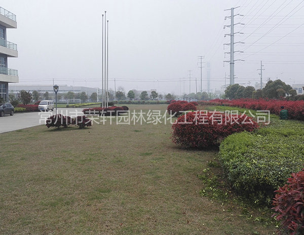 溧陽中興西田養(yǎng)護(hù)