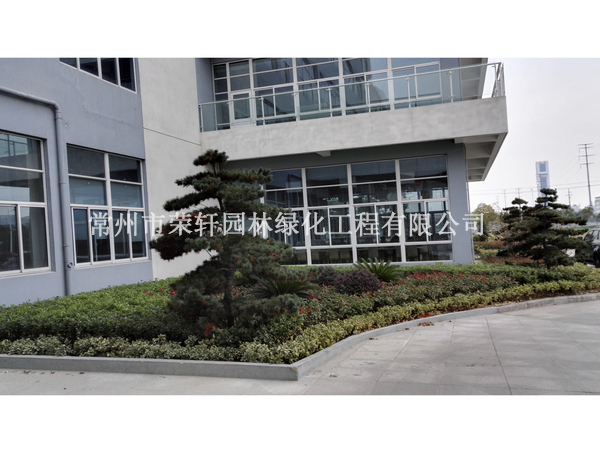 中興西田施工6個月