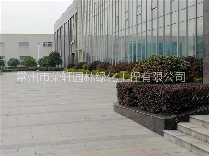 常州新譽集團(tuán)養(yǎng)護(hù)