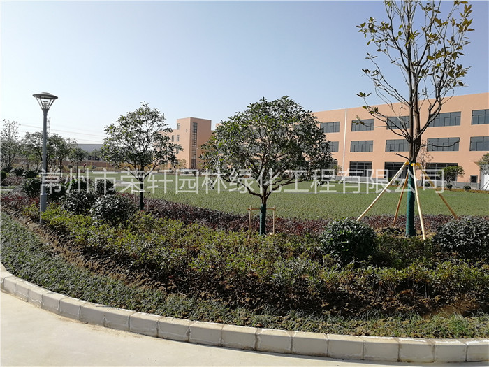 常州西瑪特電器養(yǎng)護(hù)