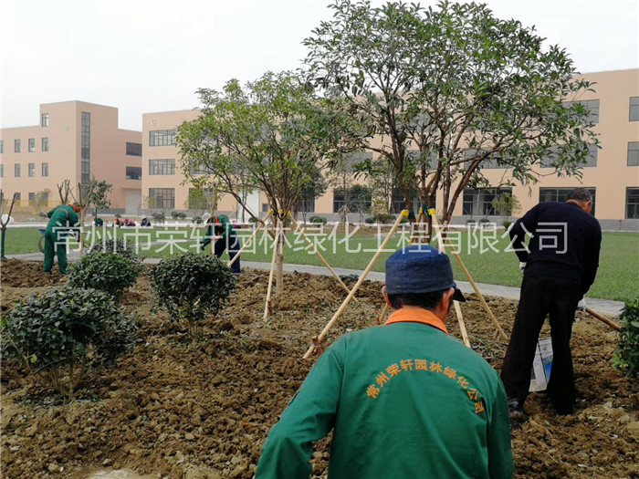 常州西瑪特電器養(yǎng)護(hù)