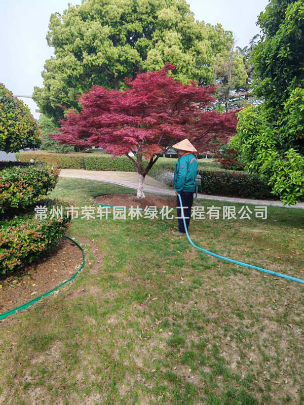 國茂減速機集團有限公司