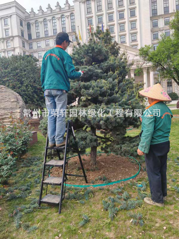 國茂減速機集團有限公司