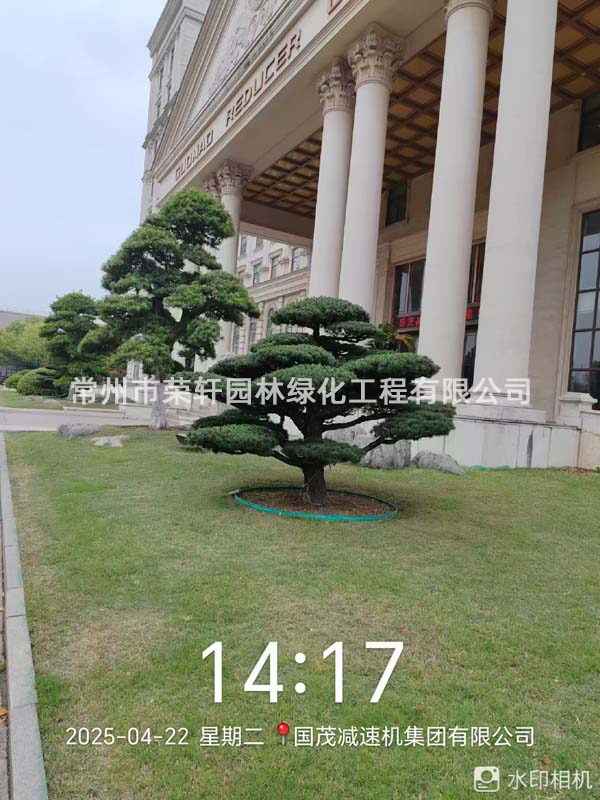 國茂減速機集團有限公司